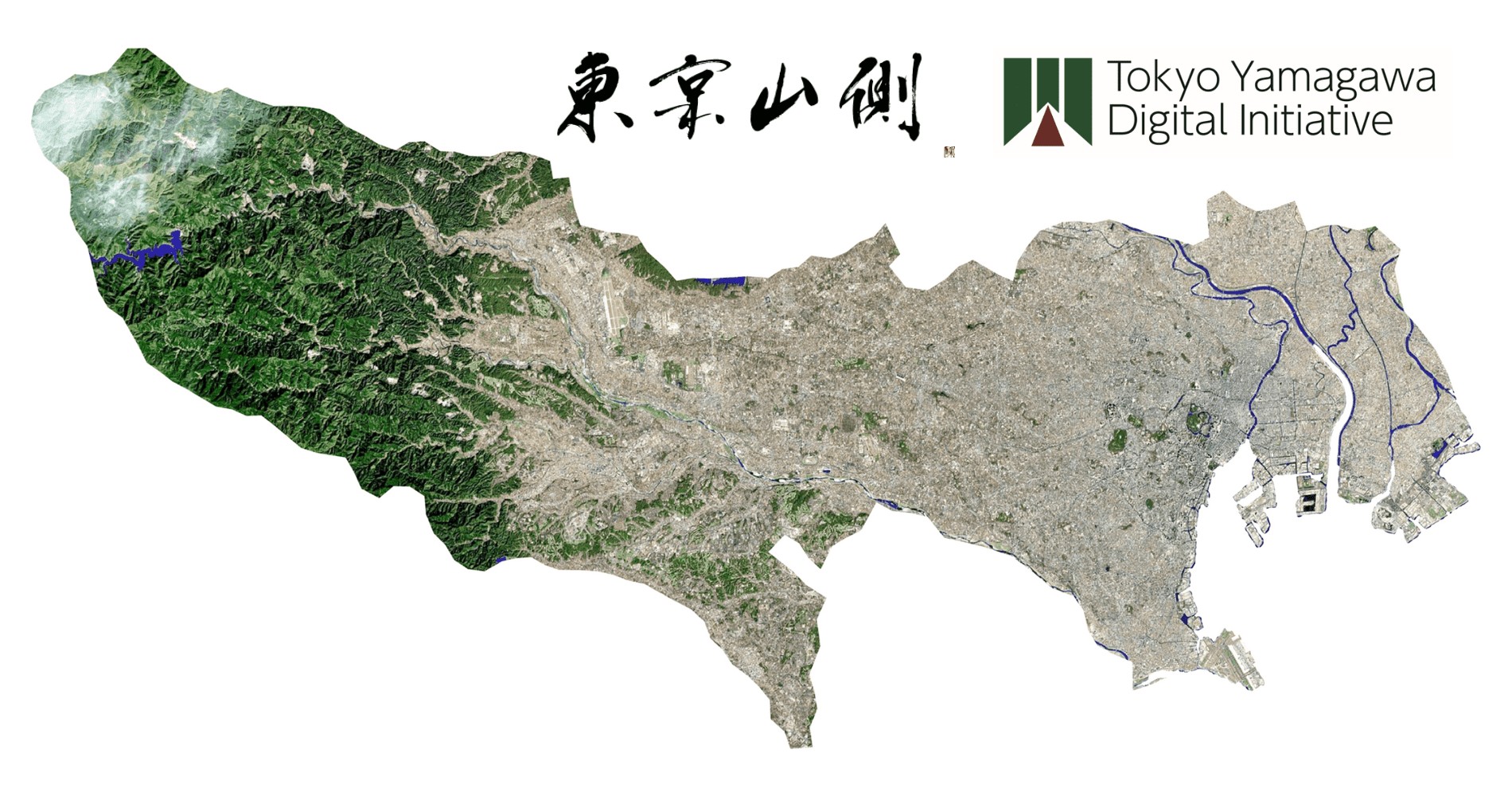 東京山側｜Tokyo Yamagawa Digital Initiative